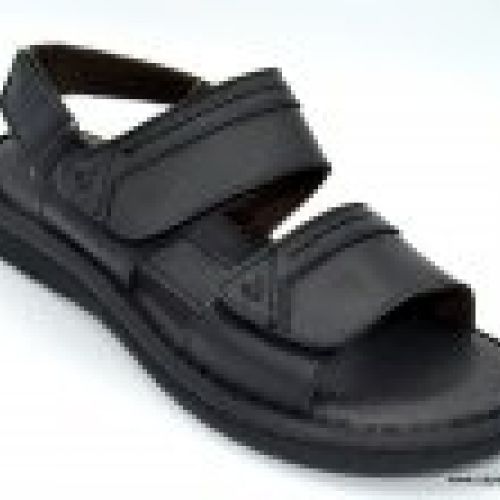 Zen 478719 negro