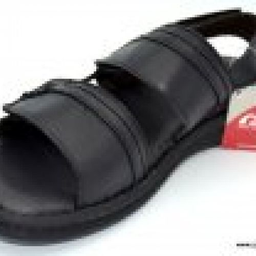 Zen 478719 negro