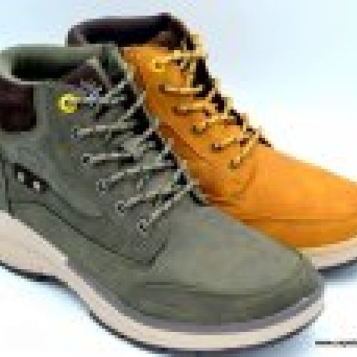 Lois 64204