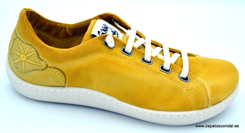 Sunni Sabbi Oshima camel