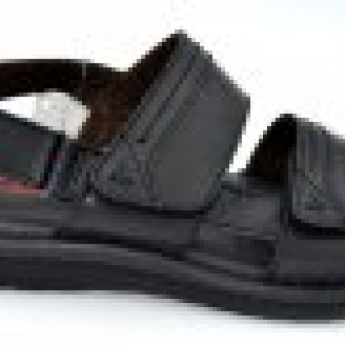 Zen 478719 negro