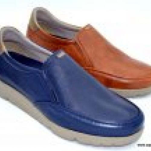 Fluchos F1458